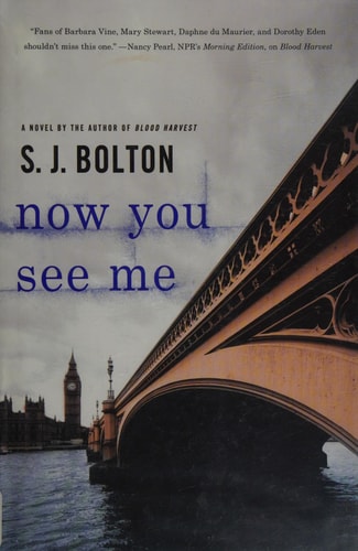 Now You See Me (Lacey Flint Novels)