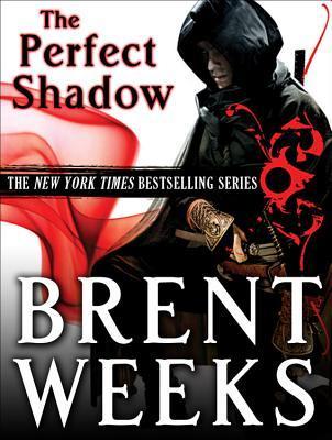 Perfect Shadow: A Night Angel Novella