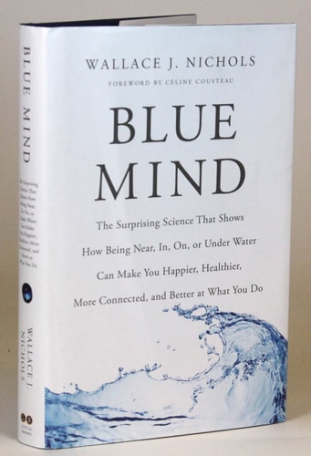 Blue Mind: The Surprising Science That Shows How Being Near, In, On, or Under Water Can Make You Happier, Healthier, More Connected, and Better at What You Do