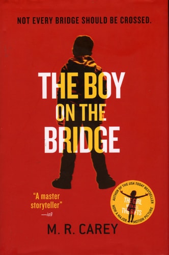 The Boy on the Bridge