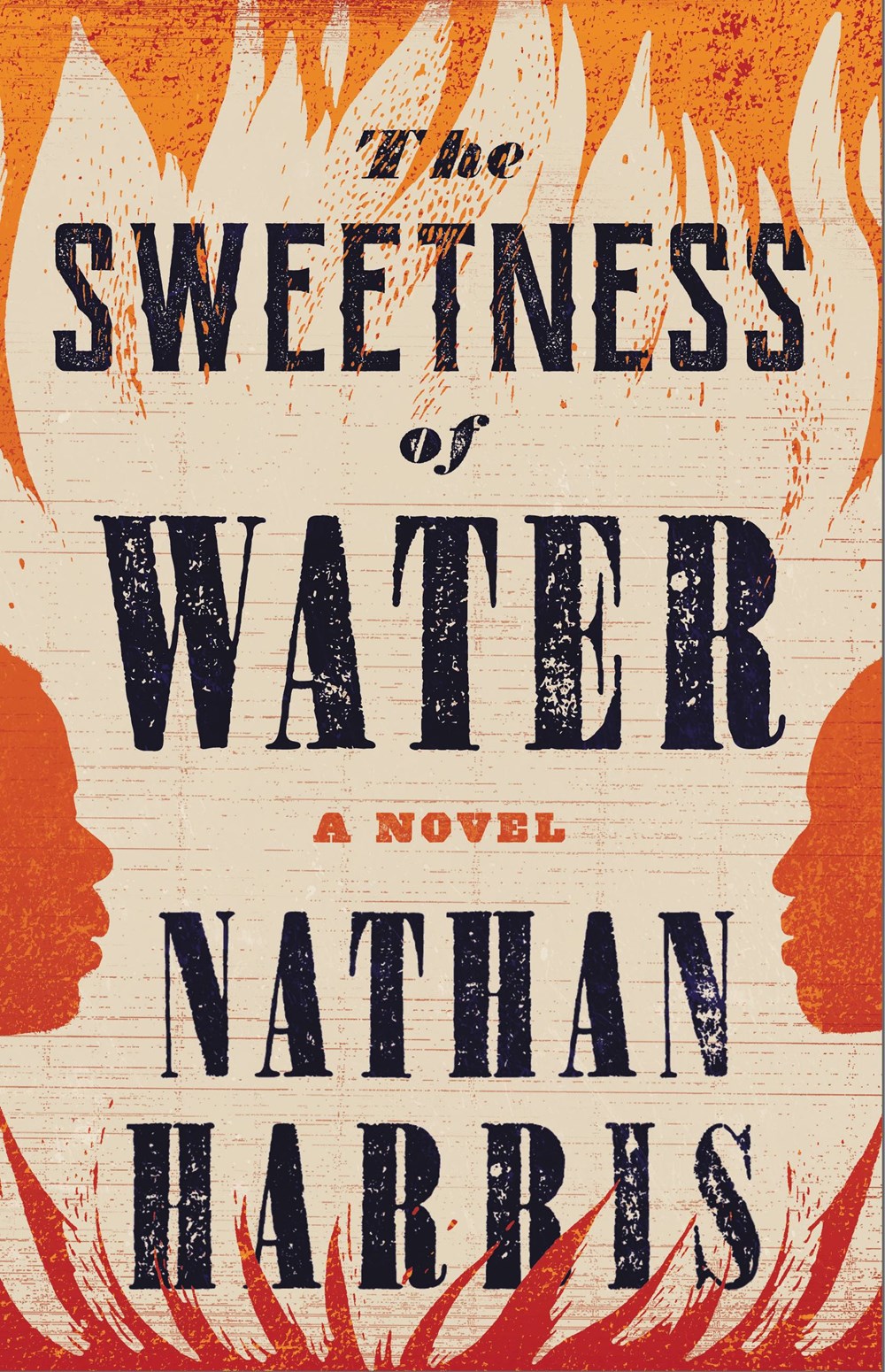 The Sweetness of Water: A Novel