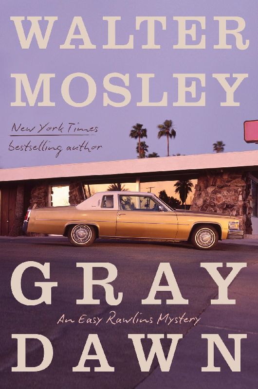Gray Dawn
