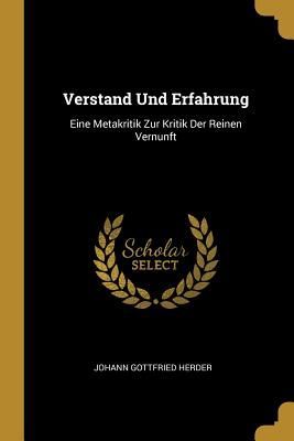 Verstand Und Erfahrung: Eine Metakritik Zur Kritik Der Reinen Vernunft