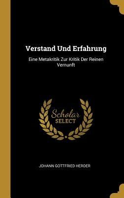 Verstand Und Erfahrung: Eine Metakritik Zur Kritik Der Reinen Vernunft