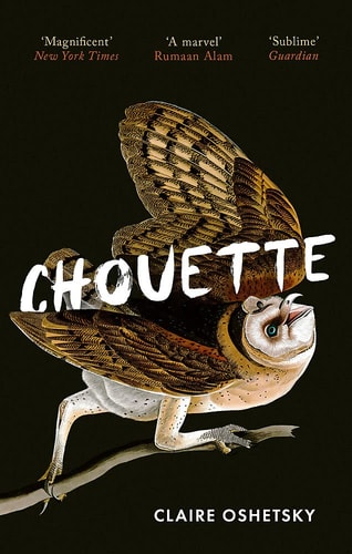 Chouette (Investigación)