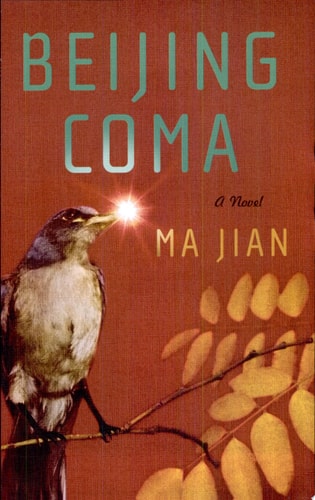 Beijing Coma: A Novel
