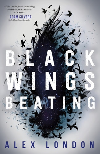 Black Wings Beating (The Skybound Saga Book 1)