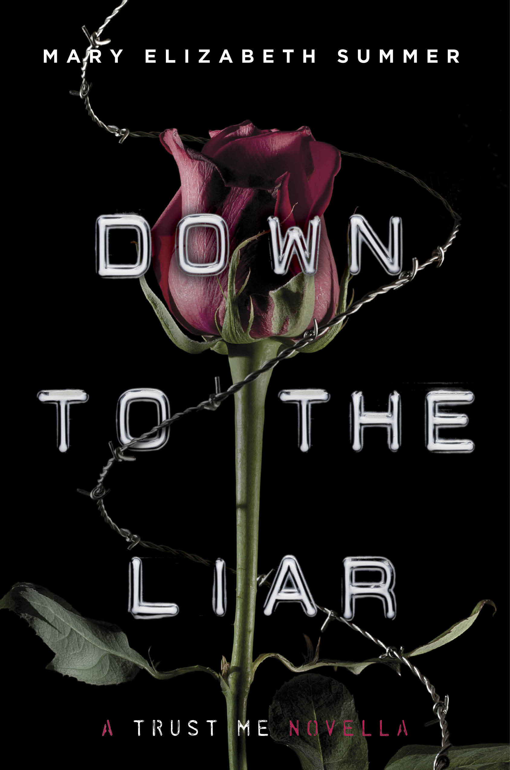 Down to the Liar (Trust Me Series)