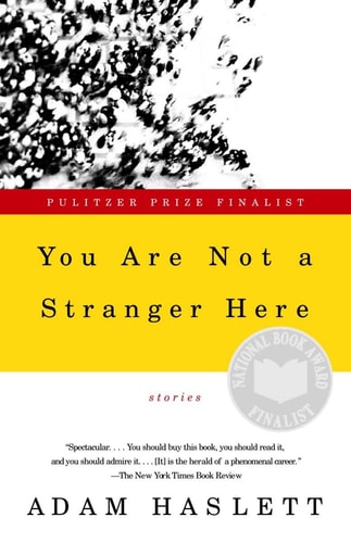 You Are Not a Stranger Here: Stories