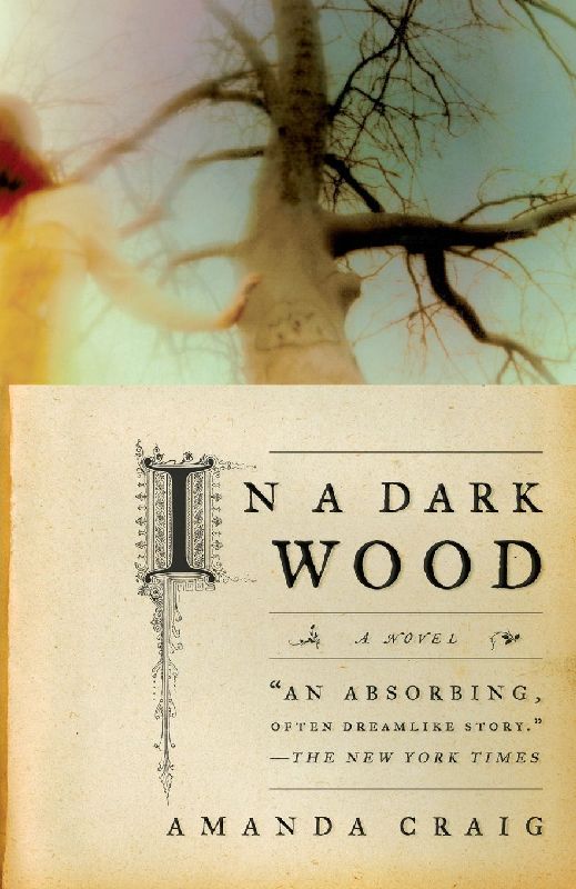 In a Dark Wood