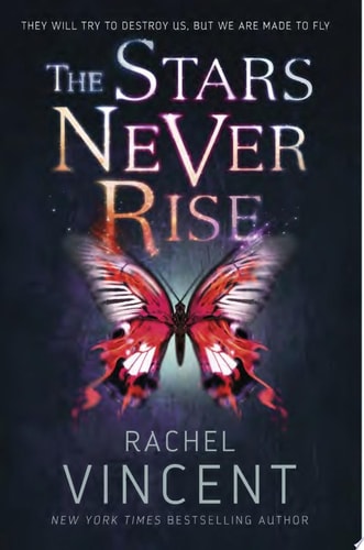 The Stars Never Rise (The Stars Never Rise Duology)