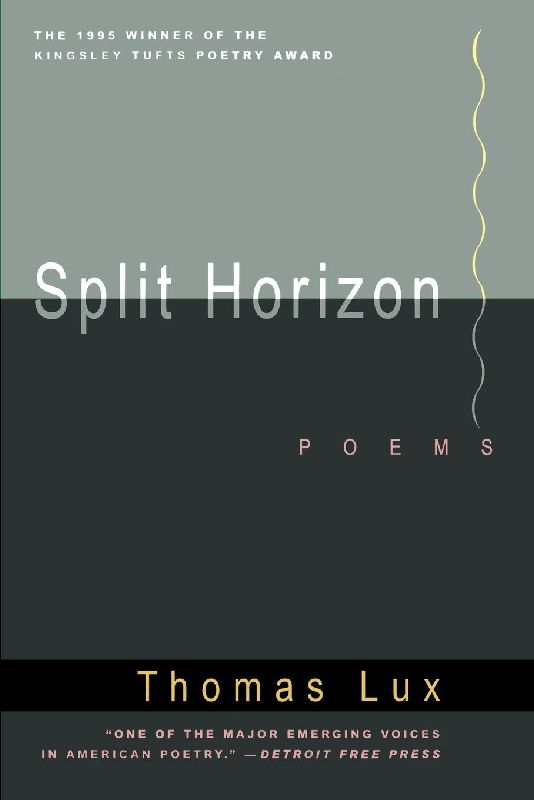Split Horizon Pa