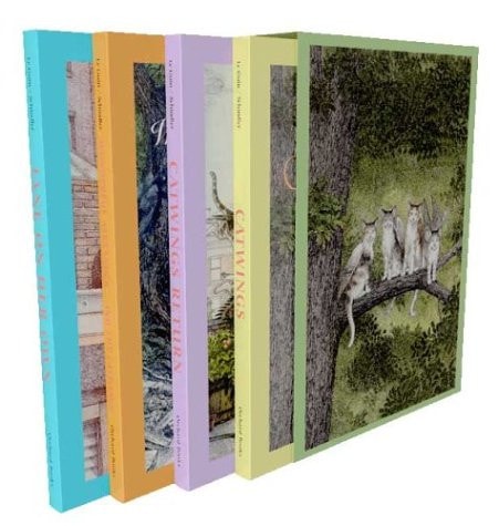 The Catwings Collection (4 Volume Set)