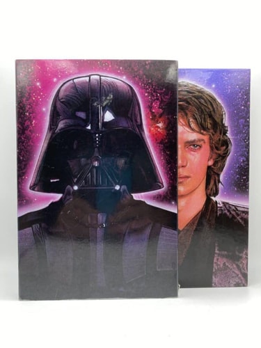 Star Wars: The Rise and Fall of Darth Vader