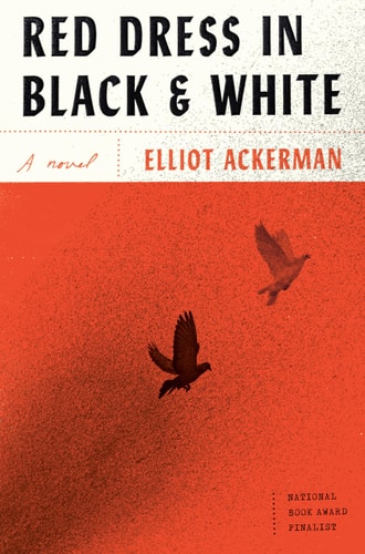 Red Dress in Black and White: A novel