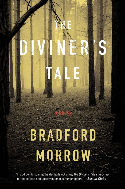 Diviner's Tale