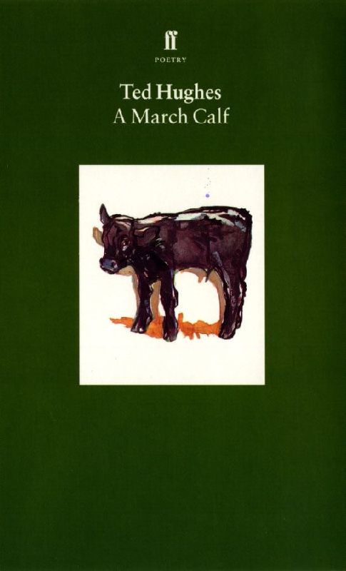 A March Calf
