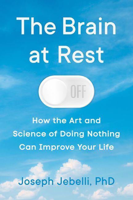 The Brain at Rest