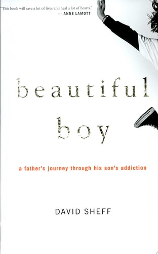 Beautiful Boy: A Father's Journey Through His Son's Addiction