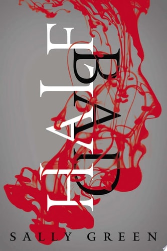 Half Bad (Half Bad Trilogy, Band 1)
