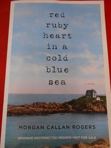 Red Ruby Heart in a Cold Blue Sea