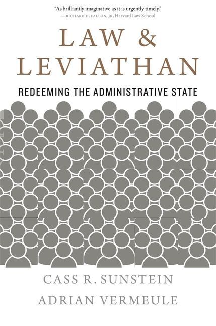 Law and Leviathan