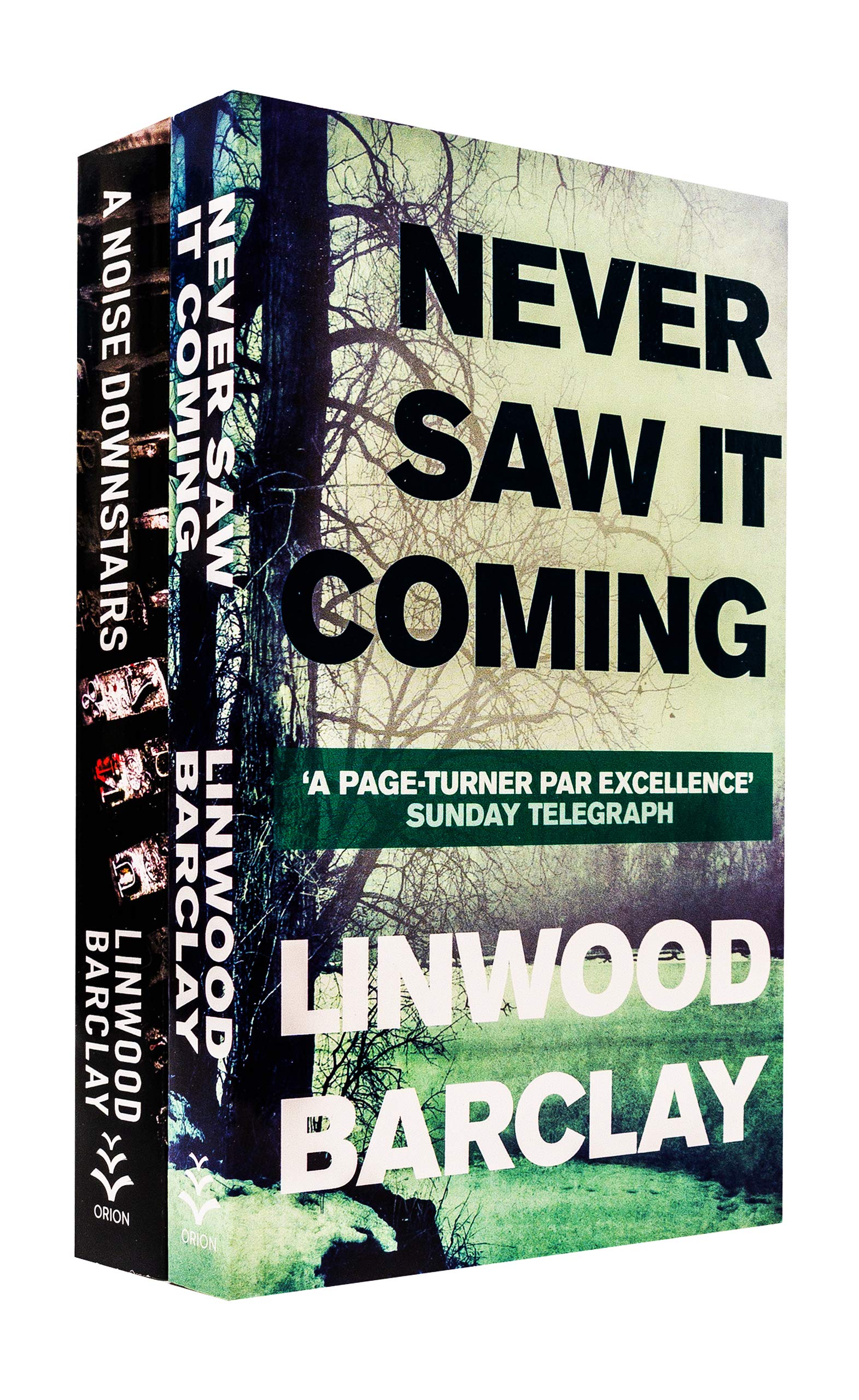 Linwood Barclay Collection 2 Books Set - Never Saw It Coming, A Noise Downstairs