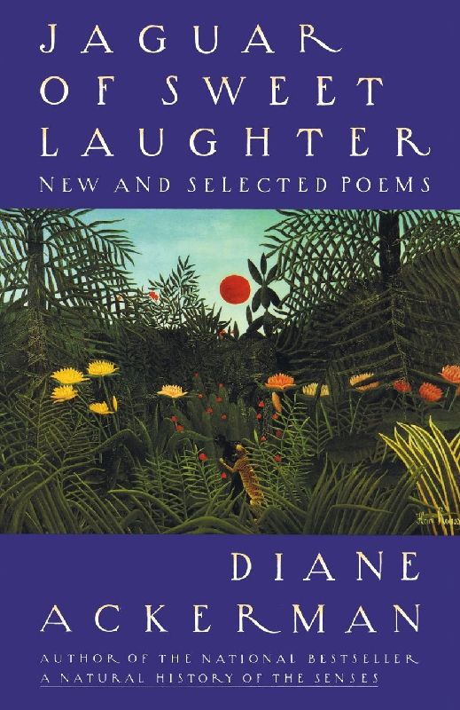 Jaguar of Sweet Laughter