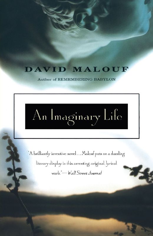 An Imaginary Life