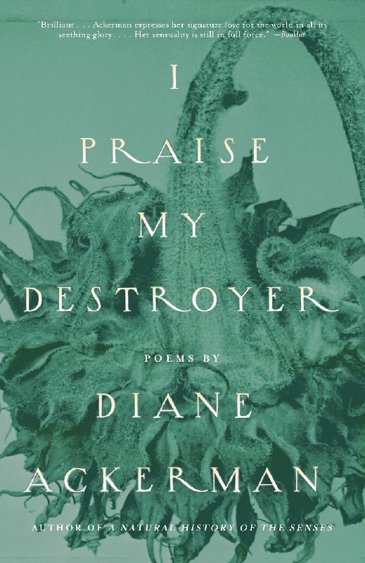 I Praise My Destroyer