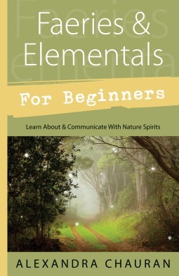 Faeries & Elementals for Beginners: Learn About & Communicate With Nature Spirits