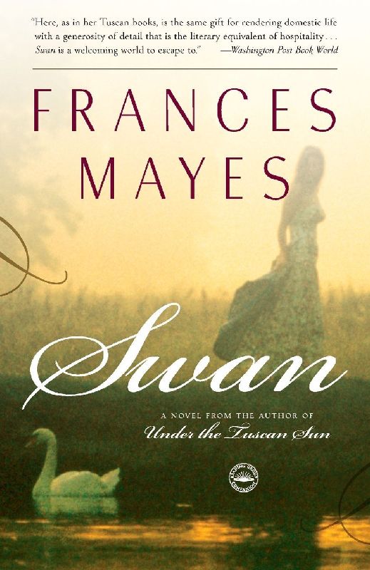 Swan