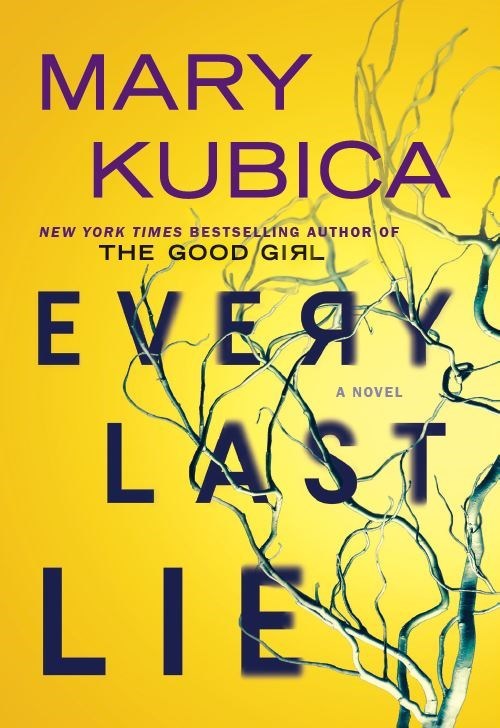 Every Last Lie: A Thrilling Suspense Novel from the author of Local Woman Missing