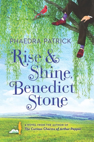 Rise and Shine, Benedict Stone: A Novel
