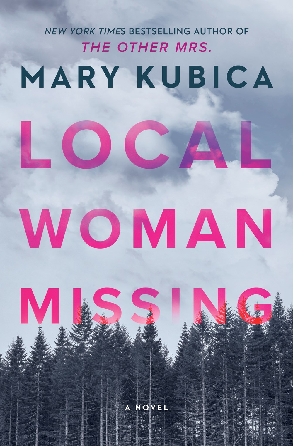 Local Woman Missing: A Novel of Domestic Suspense