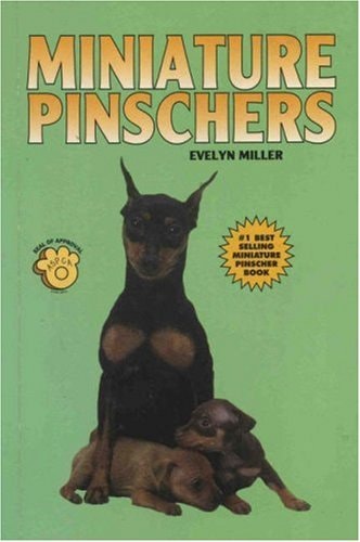 Miniature Pinschers