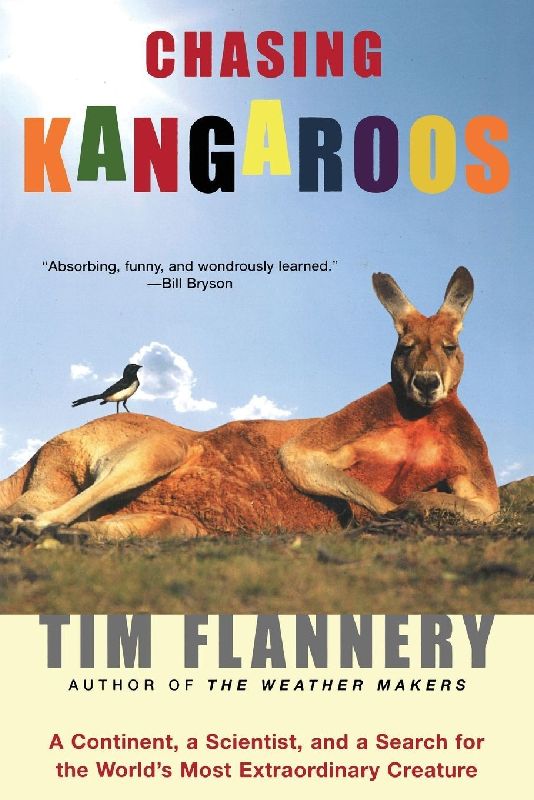 Chasing Kangaroos