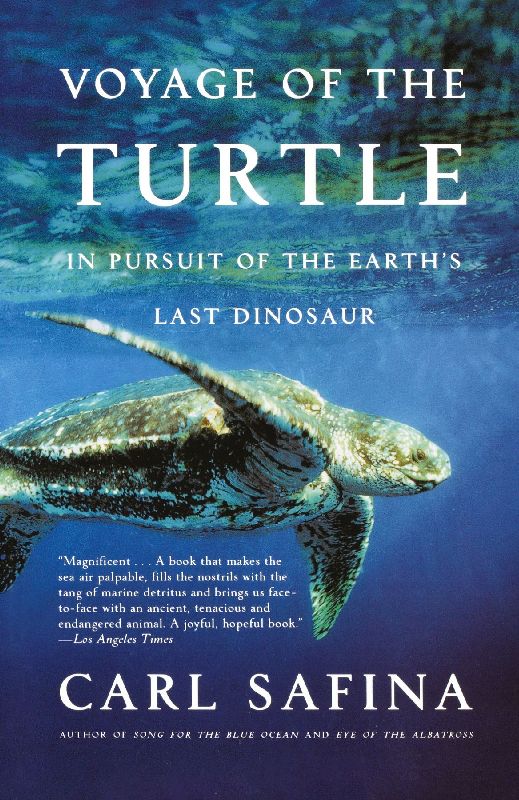 Voyage of the Turtle