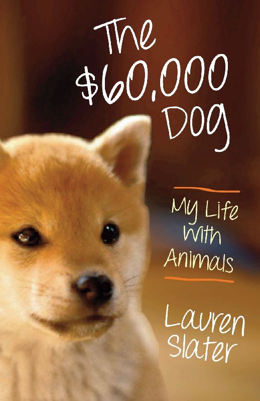 The Sixty-Thousand Dollar Dog