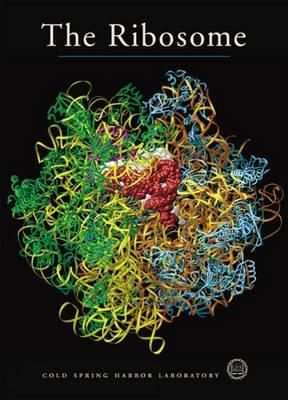 The Ribosome