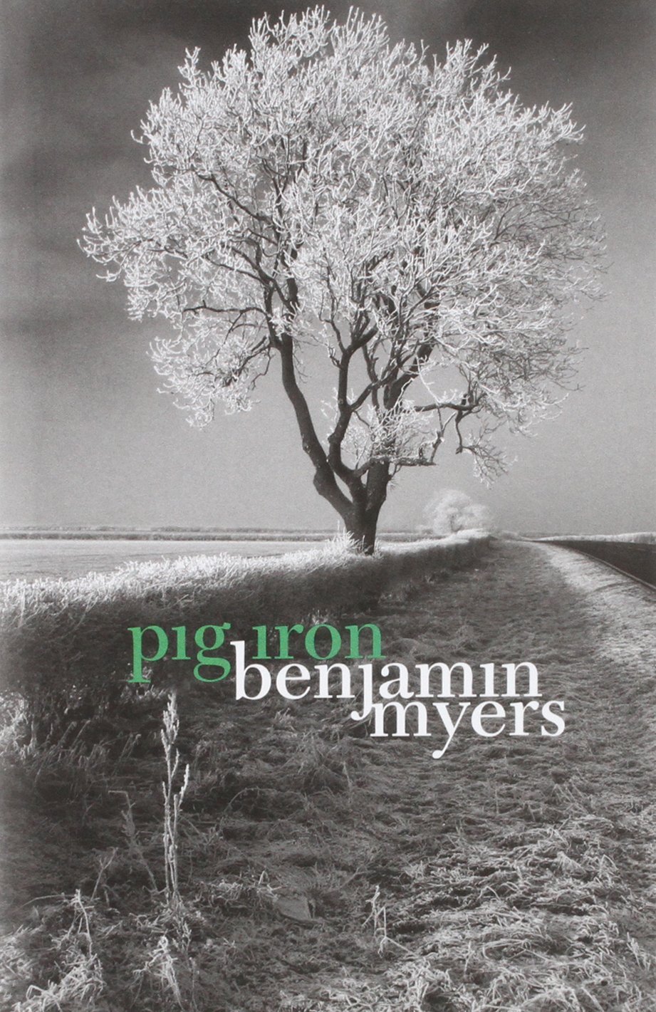 Pig Iron. Benjamin Myers