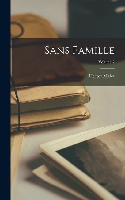 Sans Famille; Volume 2