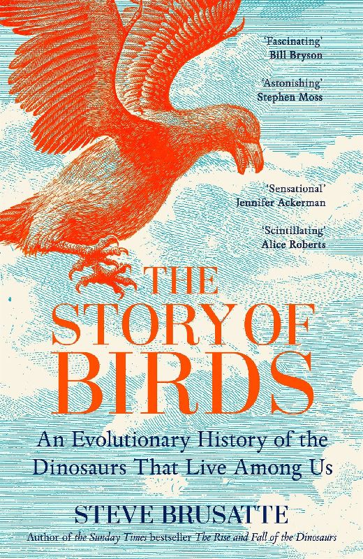 The Story of Birds