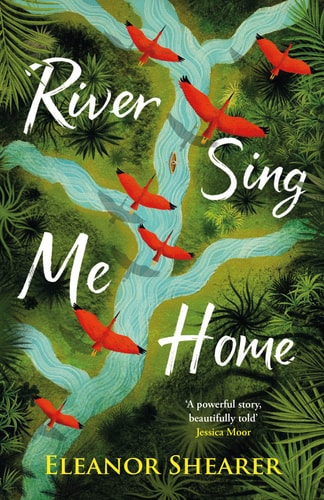River Sing Me Home: A soaring, heartstopping novel of a mother's journey to find her children