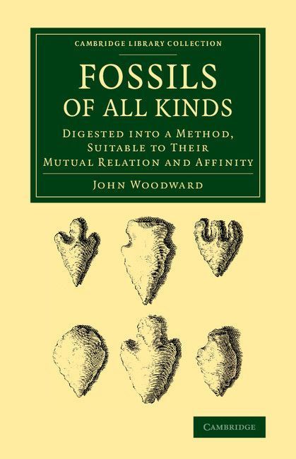 Fossils of All Kinds