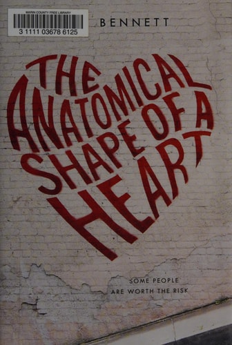 The Anatomical Shape of a Heart