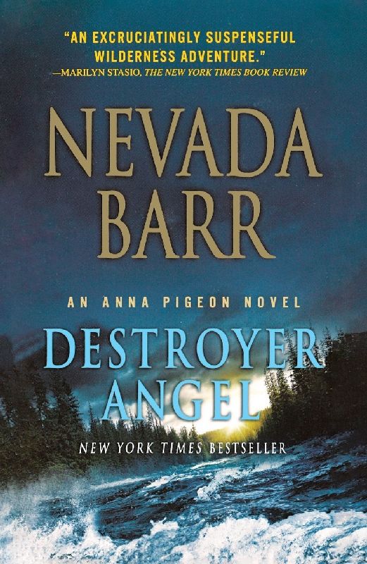 Destroyer Angel