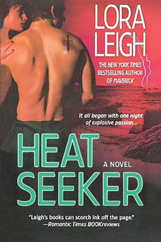 Heat Seeker
