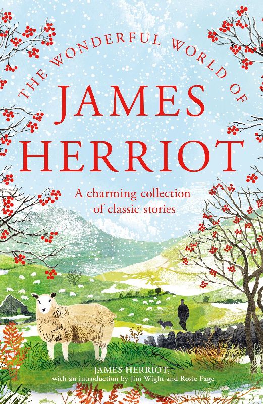 Wonderful World of James Herriot