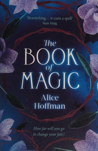 The Book of Magic (The Practical Magic Series, Band 4)